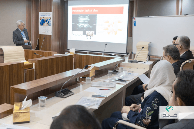 سمینار تخصصی تازه‌های بلوک‌های عصبی